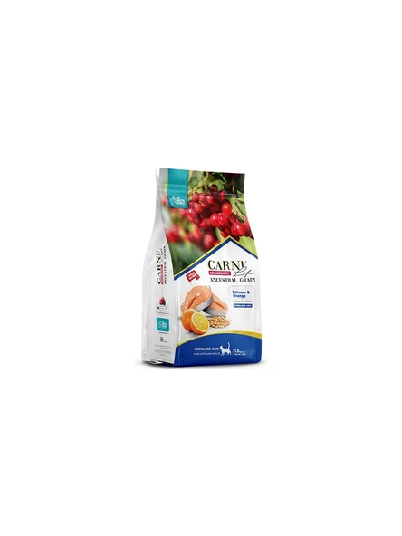 Carni Life Balık Portakal ve Kızılcıklı Yavru Kedi Maması 1500 G