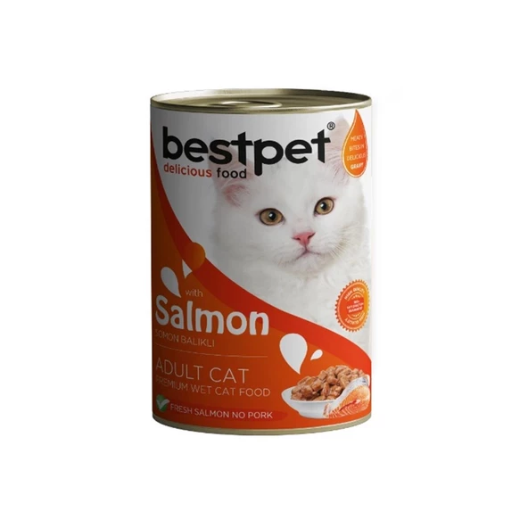 BestPet Somon Balıklı Yetişkin Kedi Konservesi 400gr