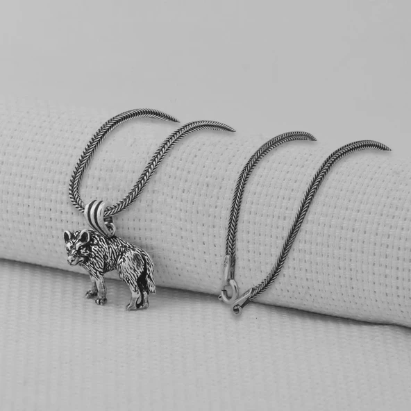 Kurt 925 Ayar Gümüş Kolye ürün görseli