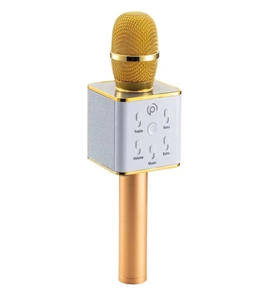 Polosmart FS22 Gold Karaoke Mikrofon + Parti Topu