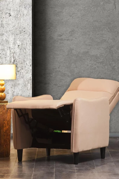 Niron  Serenity TV Koltuğu Push Back Baba Koltuğu – Fonksiyonel Tekli Berjer, Uzanma Fonksiyonlu Koltuk - 3