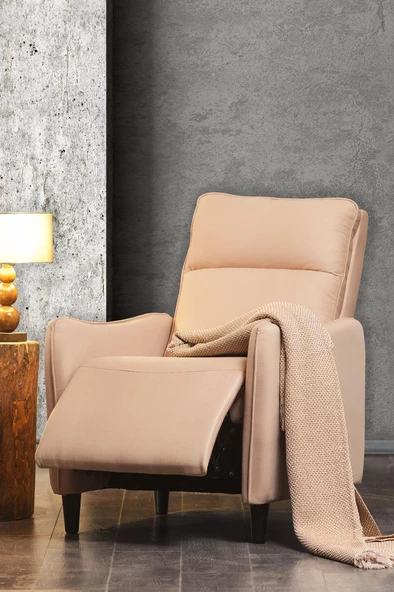 Niron  Serenity TV Koltuğu Push Back Baba Koltuğu – Fonksiyonel Tekli Berjer, Uzanma Fonksiyonlu Koltuk - 4