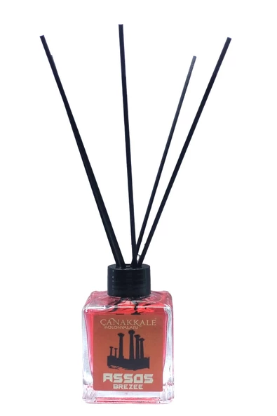 Bambu Çubuklu Oda Kokusu (ASSOS) 100 ML Cam Şişe - 3