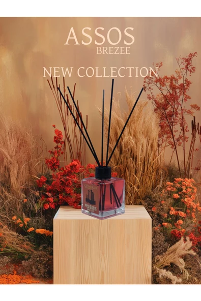 Bambu Çubuklu Oda Kokusu (ASSOS) 100 ML Cam Şişe - 2
