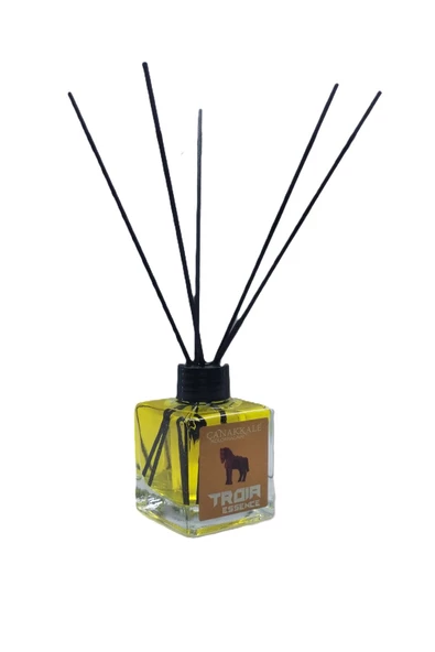 Bambu Çubuklu Oda Kokusu (TROIA) 100 ML Cam Şişe - 2