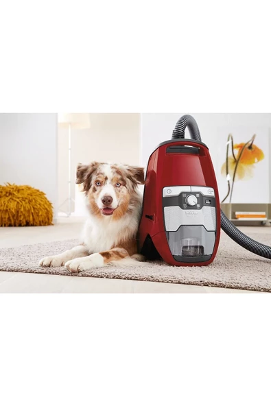 Miele Blizzard Cx1 Cat&dog Mango Kırmızı - Skcf5 - 6