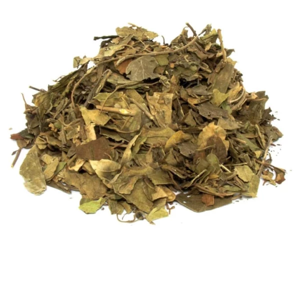 Cinnema Gimneya-Cimnema Otu 500 gr, Derya Eren - 2