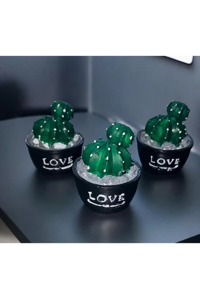 3 LÜ MİNYATÜR KAKTÜS BİBLO 6X6 CM