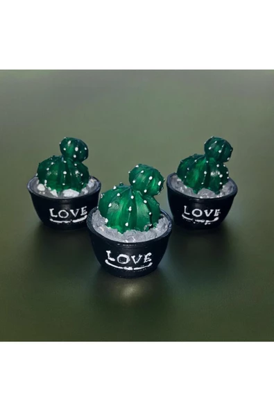 3 LÜ MİNYATÜR KAKTÜS BİBLO 6X6 CM - 2