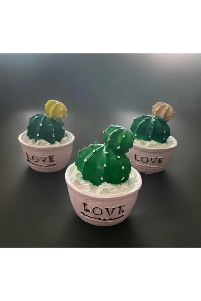 3 LÜ MİNYATÜR KAKTÜS BİBLO 6X6 CM - 2