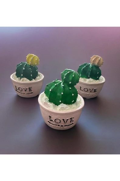 3 LÜ MİNYATÜR KAKTÜS BİBLO 6X6 CM - 5