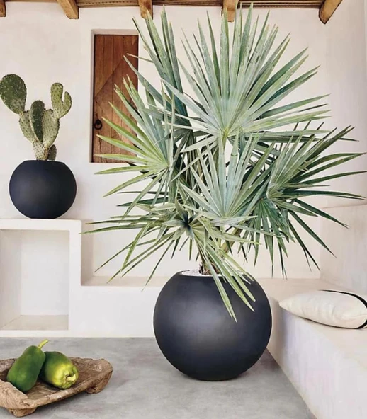 Nettenevime Fiber Saksı Antrasit Küre Yuvarlak Top Vazo Dekoratif Saksı Fiberglas 25*25cm - 7