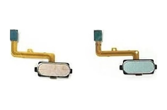 Gmr Samsung Uyumlu Galaxy A810 Home Tuş Bordu Filmi Flex Mavi ürün görseli 1