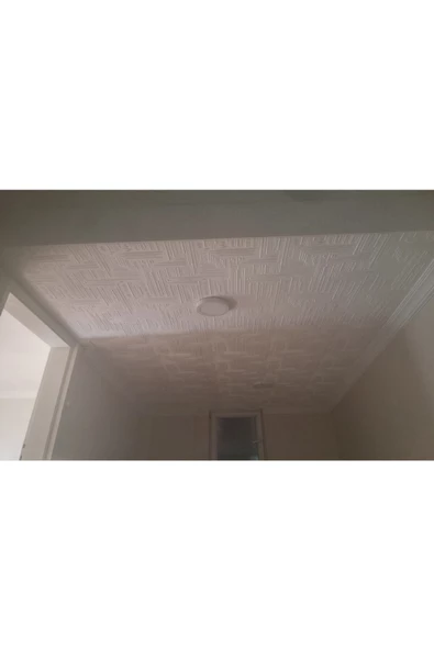 Tavan Kaplama Köpüğü Çizgi Model 50X50 1 ADET - 4