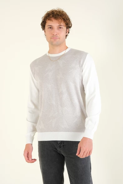 Erkek Kendinden Desenli Sıfır Yaka Kazak Ekru - Resim 3