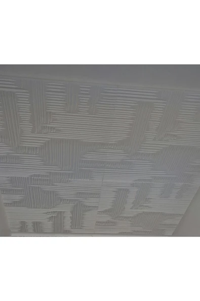Tavan Kaplama Köpüğü Çizgi Model 50X50 1 ADET - 2