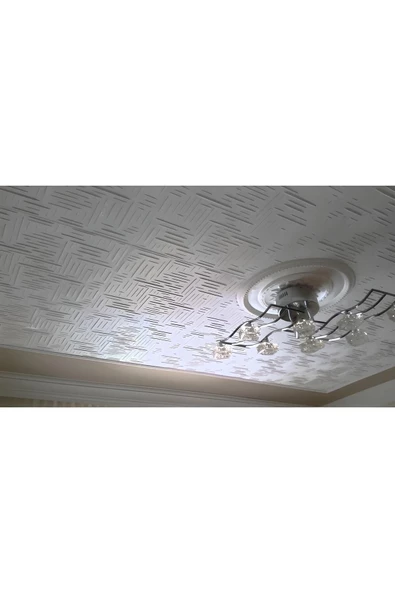 Tavan Kaplama Köpüğü Çizgi Model 50X50 1 ADET - 3