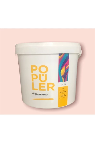 Polisan Popüler Duvar Ve Tavan Boyası 3.5 Kg - Dingin Gri