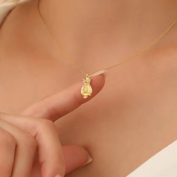 925 Ayar Gümüş Minimal Taşlı Baykuş Kolye - Resim 4