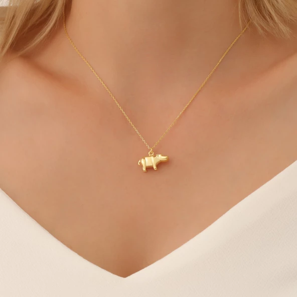 925 Ayar Gümüş Su Aygırı Kolye ürün görseli 1