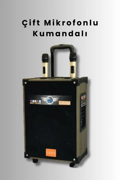 Gedi Superbass LT-912 Taşınabilir Çift Mikrofonlu Kumandalı 40 Watt Kablosuz Hoparlör - Resim 3