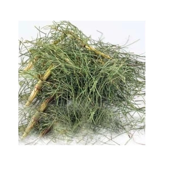 Kırkkilit Otu At Kuyruğu Bitkisi 1 kg, Derya Eren - 3