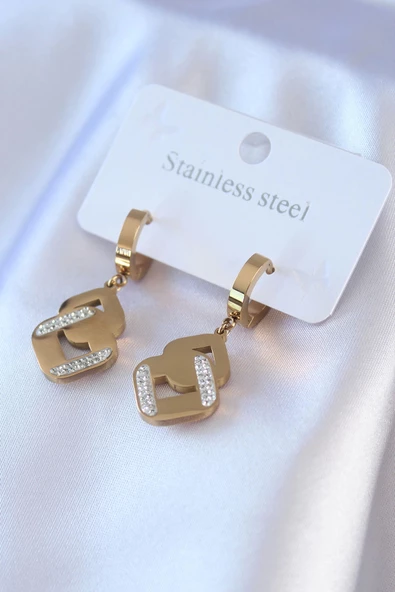 316L Çelik Gold Renk Zirkon Taşlı Kadın Küpe ürün görseli 1