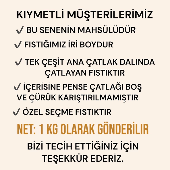 Siirt fıstığı 1. Kalite duble kavrulmuş 1 kg - 2