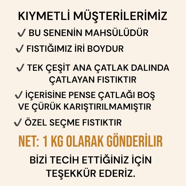 Siirt fıstığı kavrulmuş ana çatlak 1 kg - 3