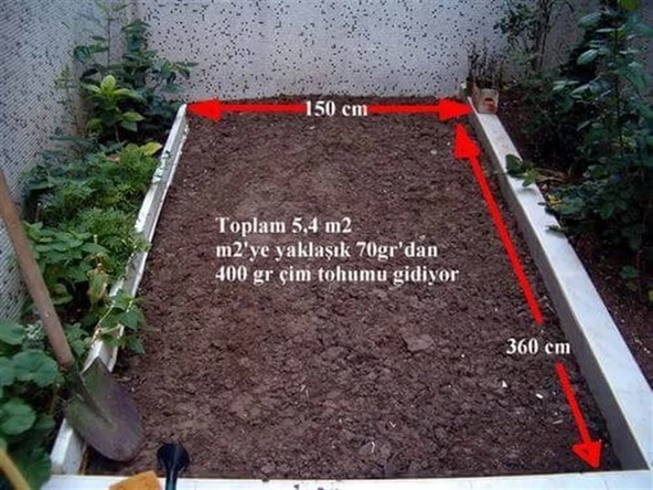 Green King Çim Tohumu 7' li Karışım İthal-10 Kg - 3
