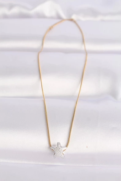 316L Çelik Zincir Altın Renk Zincirli Gümüş Renk Deniz Yıldızı Tasarımlı Kolye - Resim 3