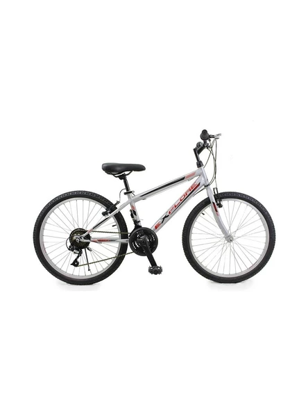 Explorer 24 2433 Erkek V 21 Gümüş-Kırmızı