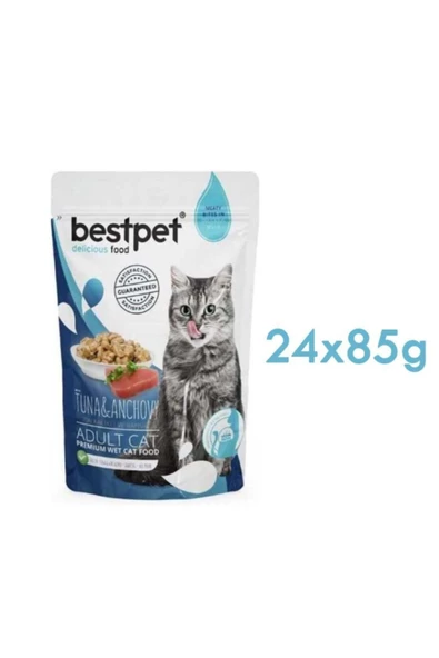 Ton Balıklı Ve Hamsili Jelly Kedi Yaş Maması 24 X 85 G