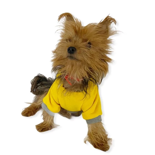 Sarı Sevimli Fare Kapşonlu Sweat by Kemique Köpek Kazağı - Resim 5