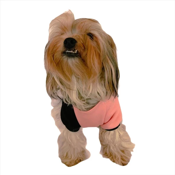 London Pineapple Kapşonlu Sweat by Kemique Köpek Kazağı - 5