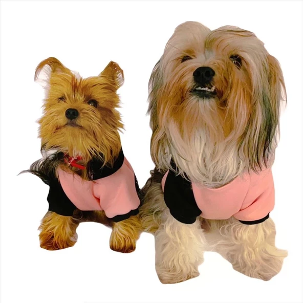 London Pineapple Kapşonlu Sweat by Kemique Köpek Kazağı - 2