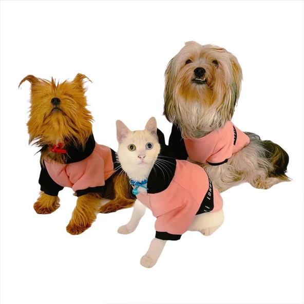 London Pineapple Kapşonlu Sweat by Kemique Köpek Kazağı - 8