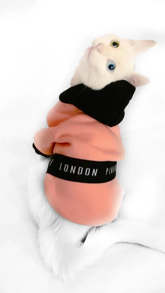 London Pineapple Kapsonlu Sweatshirt Kedi Süeteri Kedi Kıyafeti - 7