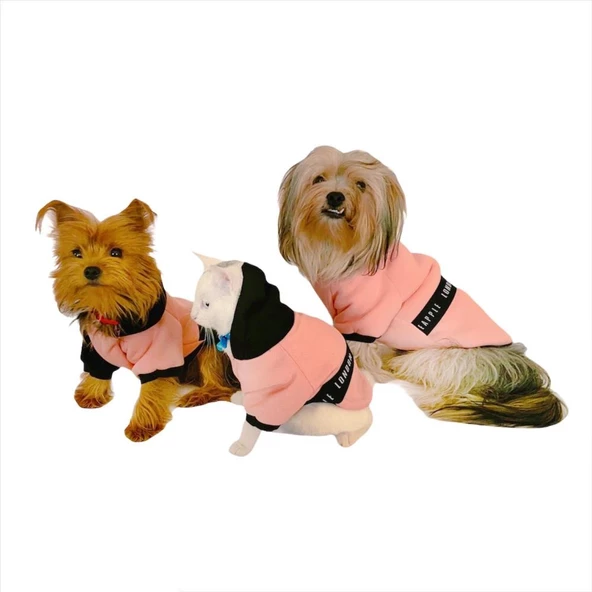 London Pineapple Kapsonlu Sweatshirt Kedi Süeteri Kedi Kıyafeti - 8