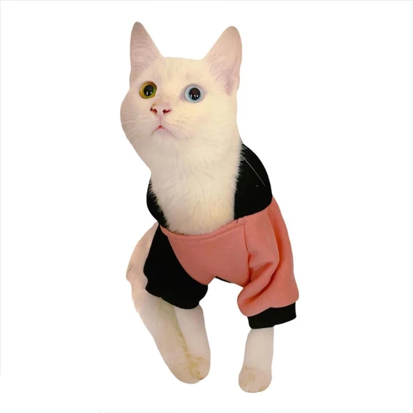 London Pineapple Kapsonlu Sweatshirt Kedi Süeteri Kedi Kıyafeti - 5