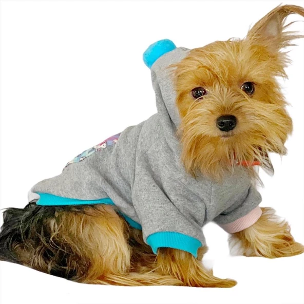 Kitty Grey Kapşonlu Sweat by Kemique Köpek Kazağı