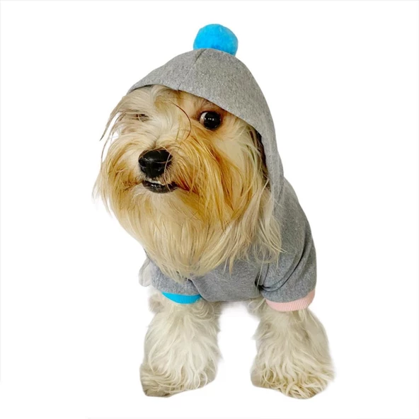 Kitty Grey Kapşonlu Sweat by Kemique Köpek Kazağı - 3