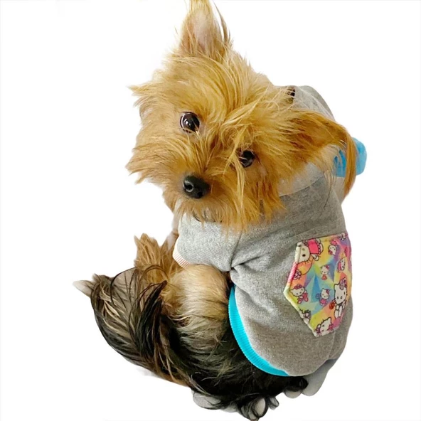 Kitty Grey Kapşonlu Sweat by Kemique Köpek Kazağı - 2