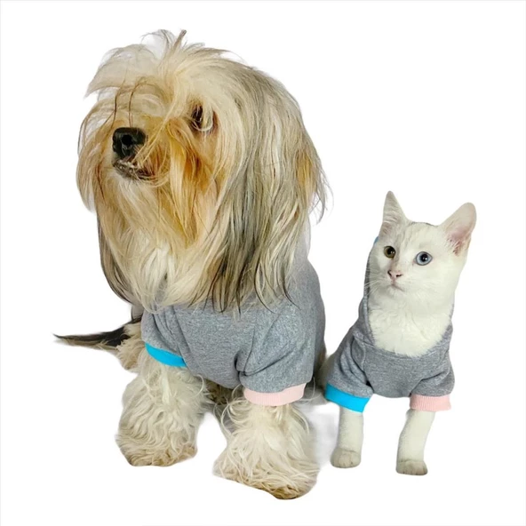 Kitty Grey Kapsonlu Sweatshirt Kedi Süeteri Kedi Kıyafeti - 6