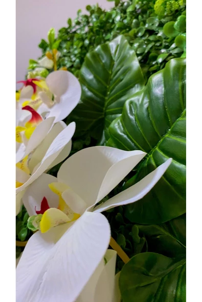 DDPEST Yapay Islak Doku Beyaz Orkideli Yeşil Panel Şimşir 40x60 Sık Doku Renkli Garnitürlü - 3