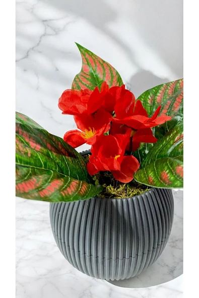 DDPEST Yosunlu Saksıda Yapay ATATÜRK Çiçeği Bitkisi Kırmızı Yeşil Garnitürlü Gri Saksı Orta  Boy - Resim 2