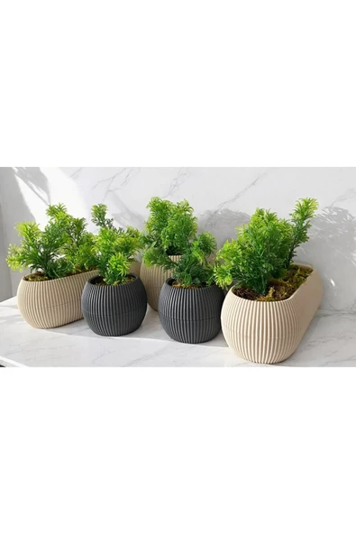 DDPEST 5 ' li Dekoratif Yosunlu Yapay Çimli Saksı Takımı Canlı / Yapay Çiçek Saksıları - 3
