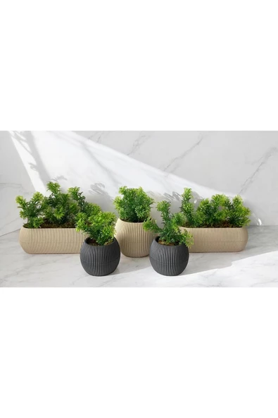DDPEST 5 ' li Dekoratif Yosunlu Yapay Çimli Saksı Takımı Canlı / Yapay Çiçek Saksıları - 2