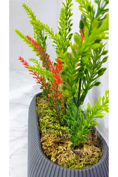 DDPEST Yosunlu Saksıda Yapay Lavanta Bitkisi Kırmızı-Yeşil Garnitürlü Antrasit Gri Uzun Saksı Orta Boy - 3