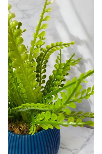 DDPEST Yosunlu Mini Boy Lacivert Saksıda Yapay Bitki Yeşil Susam Garnitür - 2